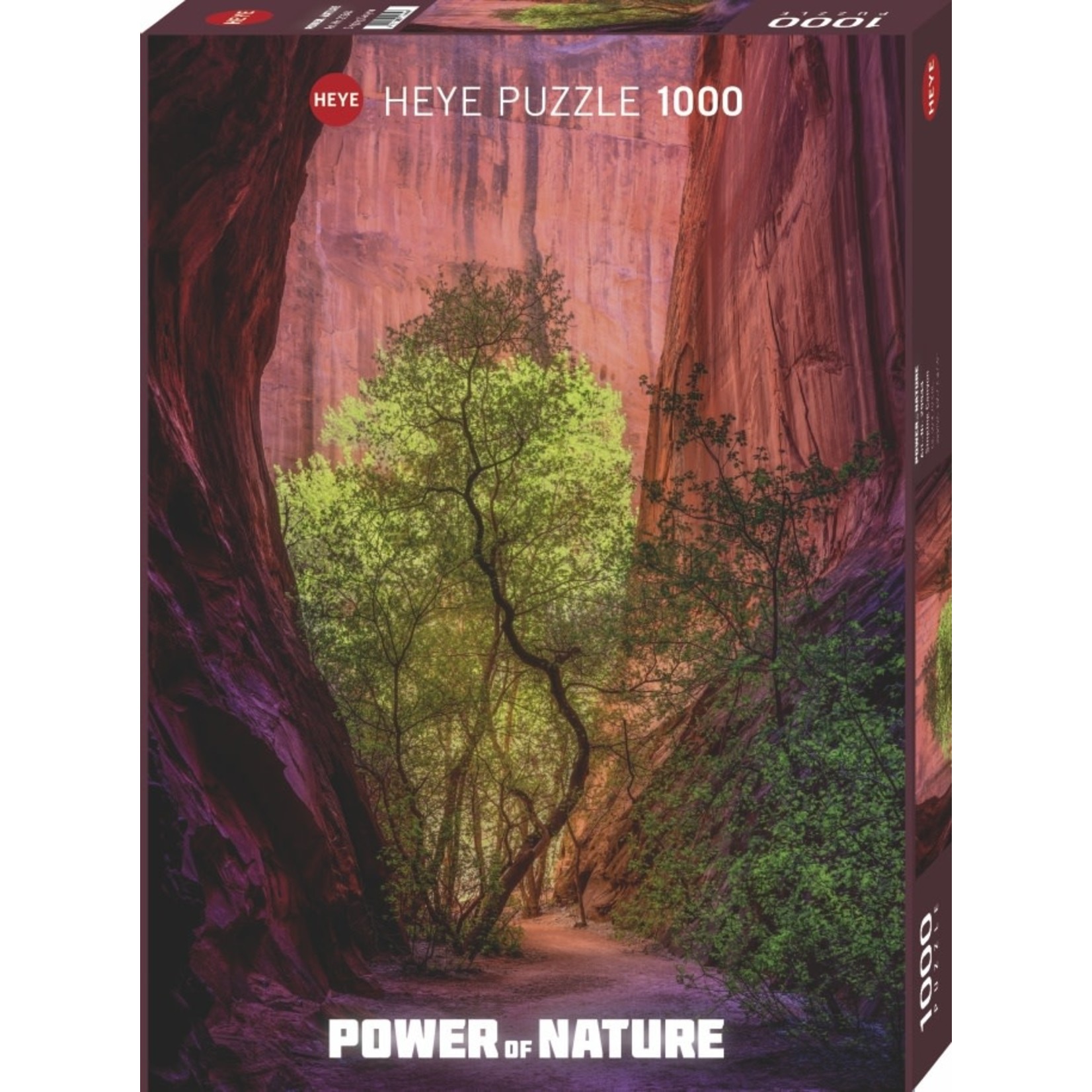 Heye Power of Nature - Singing Canyon 1000 Piece Puzzle