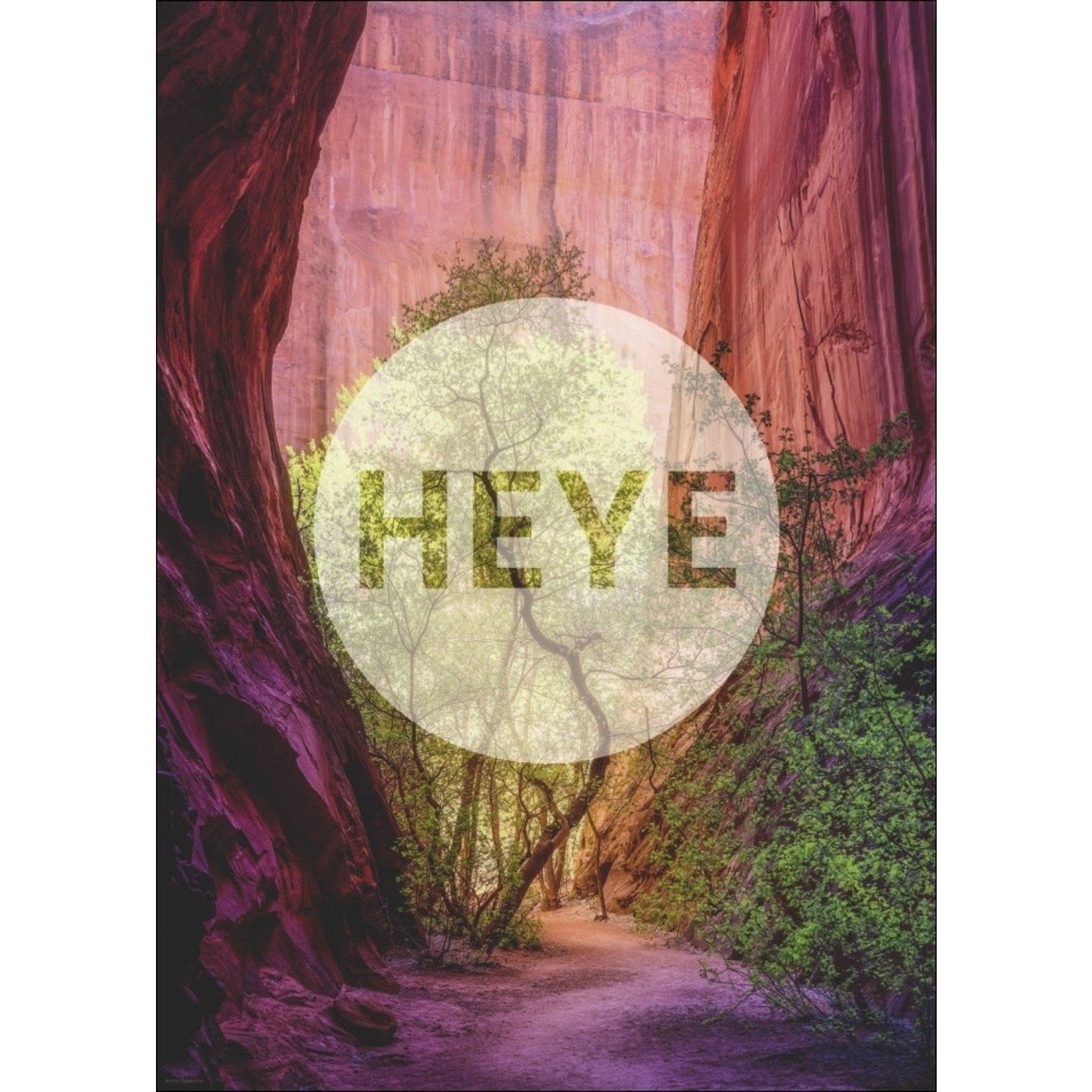 Heye Power of Nature - Singing Canyon 1000 Piece Puzzle