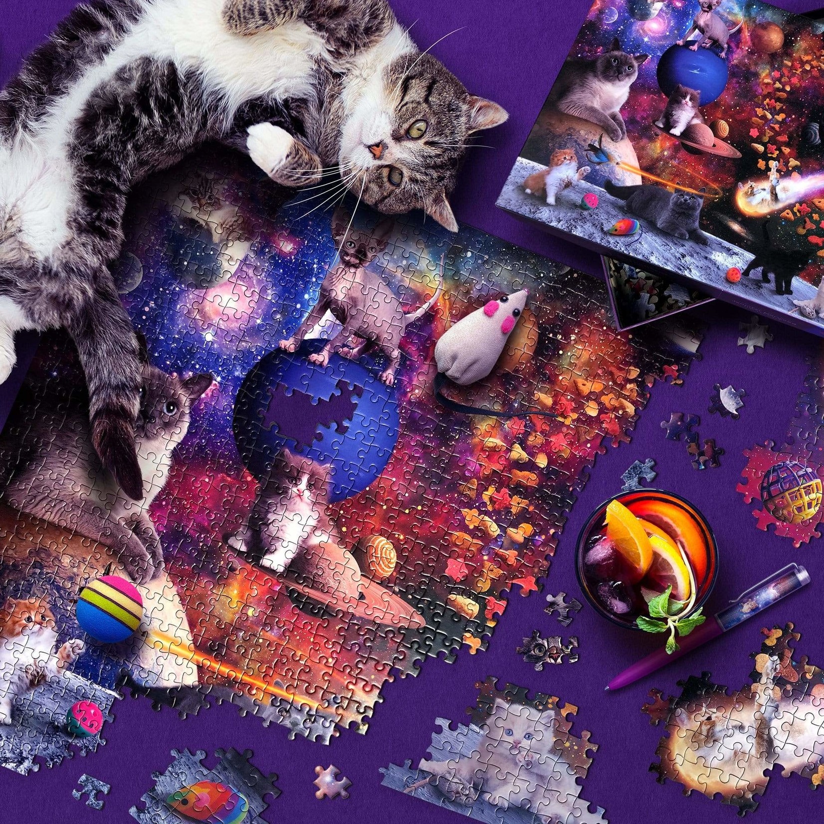 Fred Galaxy Cats 1000 Piece Puzzle
