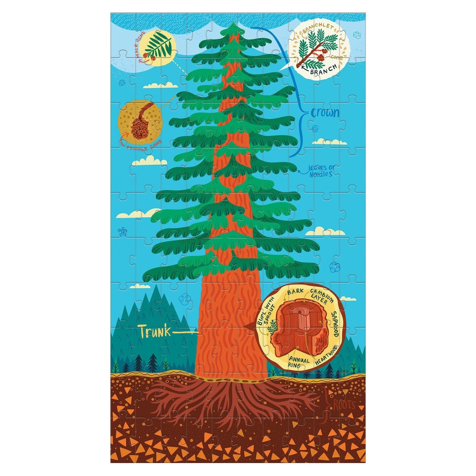 Mudpuppy Science Puzzle Set - Plant Anatomy 100 Pieces