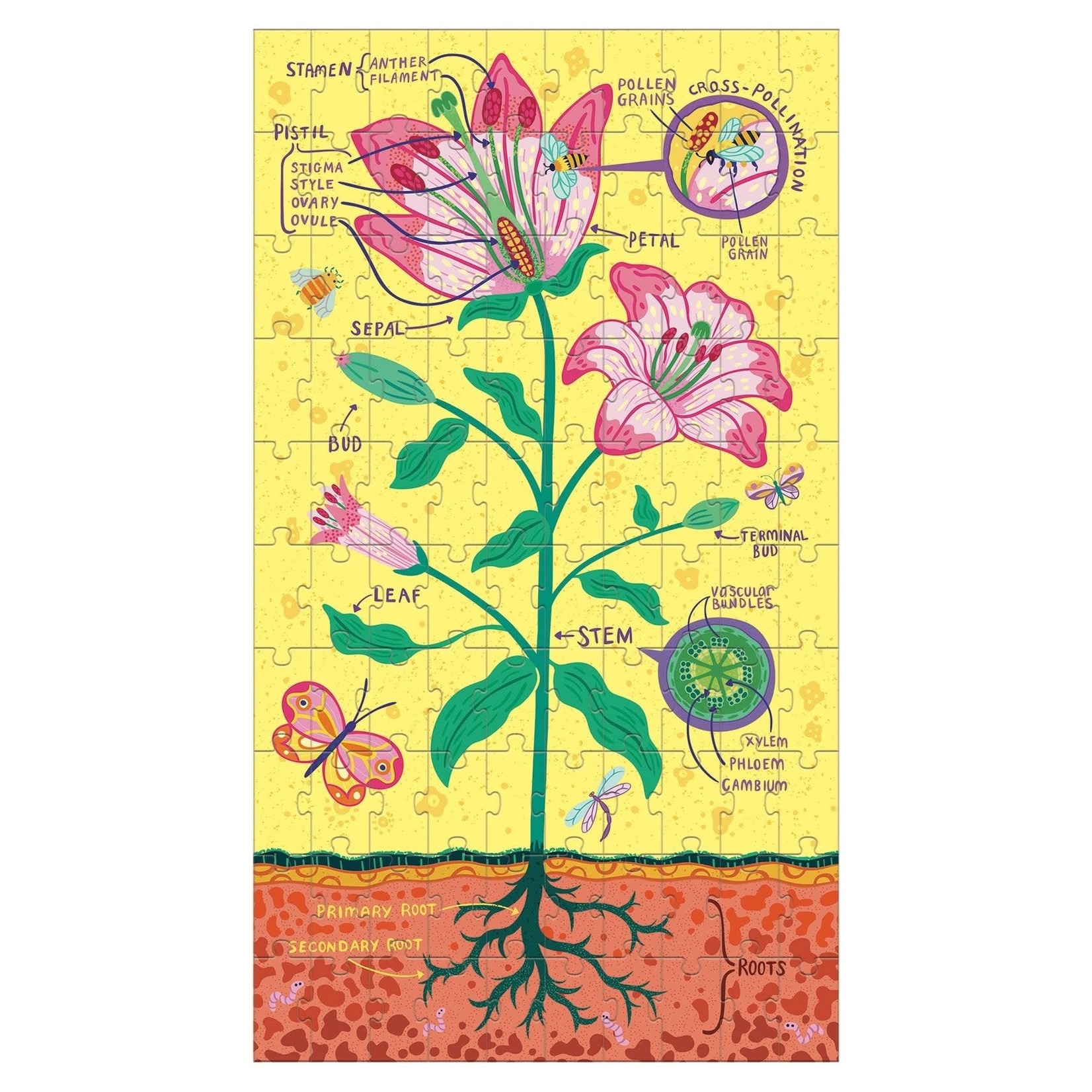 Mudpuppy Science Puzzle Set - Plant Anatomy 100 Pieces