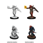 WizKids D&D Nolzur's Marvelous Miniatures: Dragonborn Paladin, Male