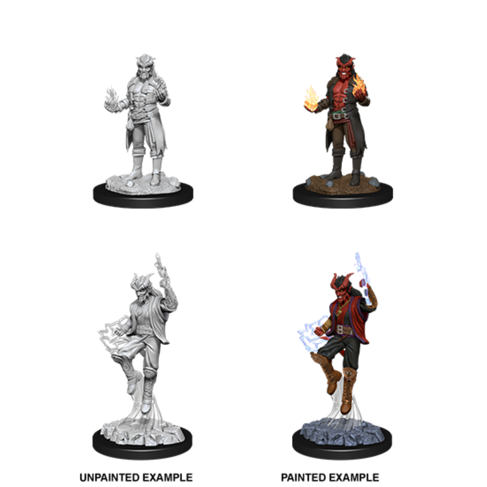WizKids D&D Nolzur's Marvelous Miniatures: Tiefling Sorcerer, Male