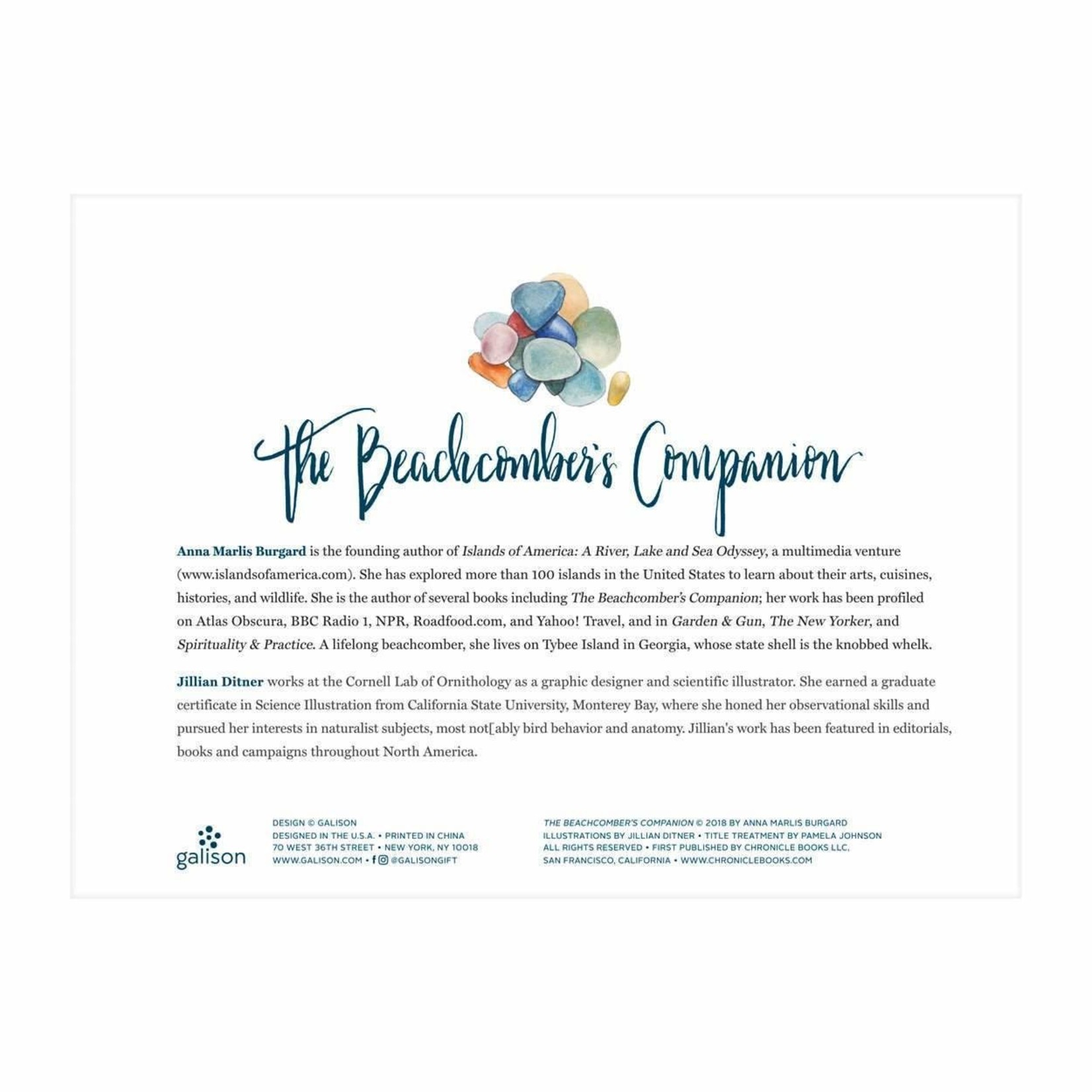 galison Beachcomber's Companion, The 1000 Piece Jigsaw Puzzle With Shaped Pieces