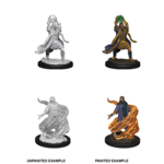 WizKids D&D Nolzur's Marvelous Miniatures: Elf Sorcerer, Male