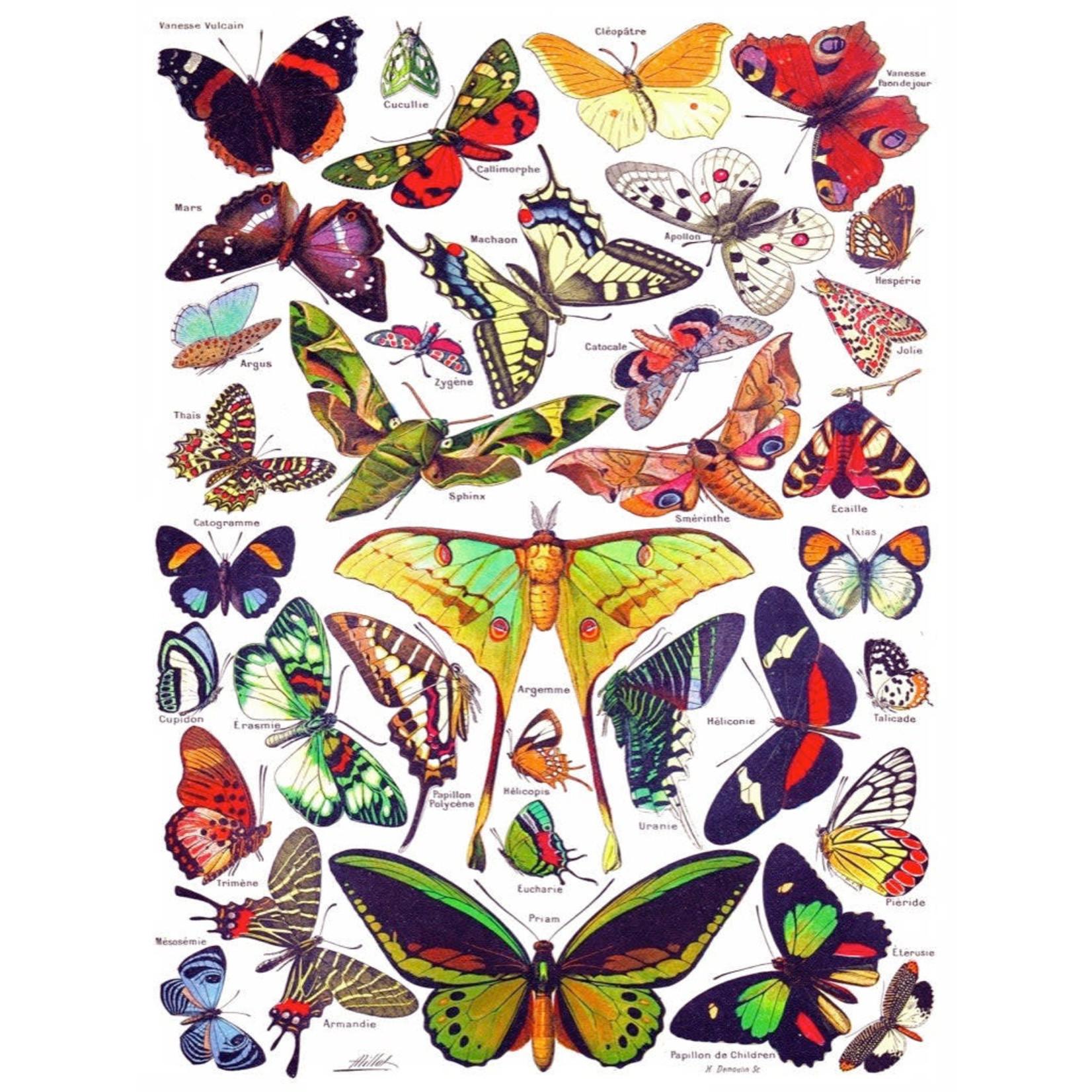 New York Puzzle Co Vintage Collection - Butterflies ~ Papillions 1000 Piece Puzzle