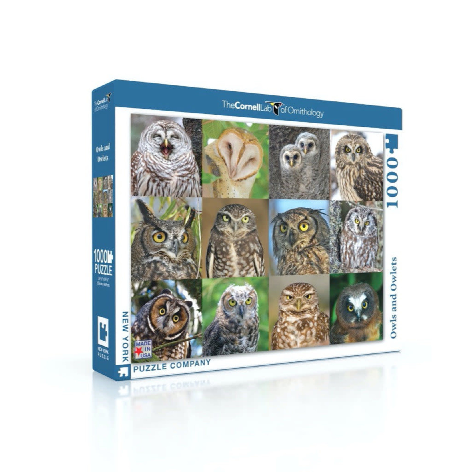New York Puzzle Co Cornell Lab of Ornithology, The - Owls and Owlets 1000 Piece Puzzle