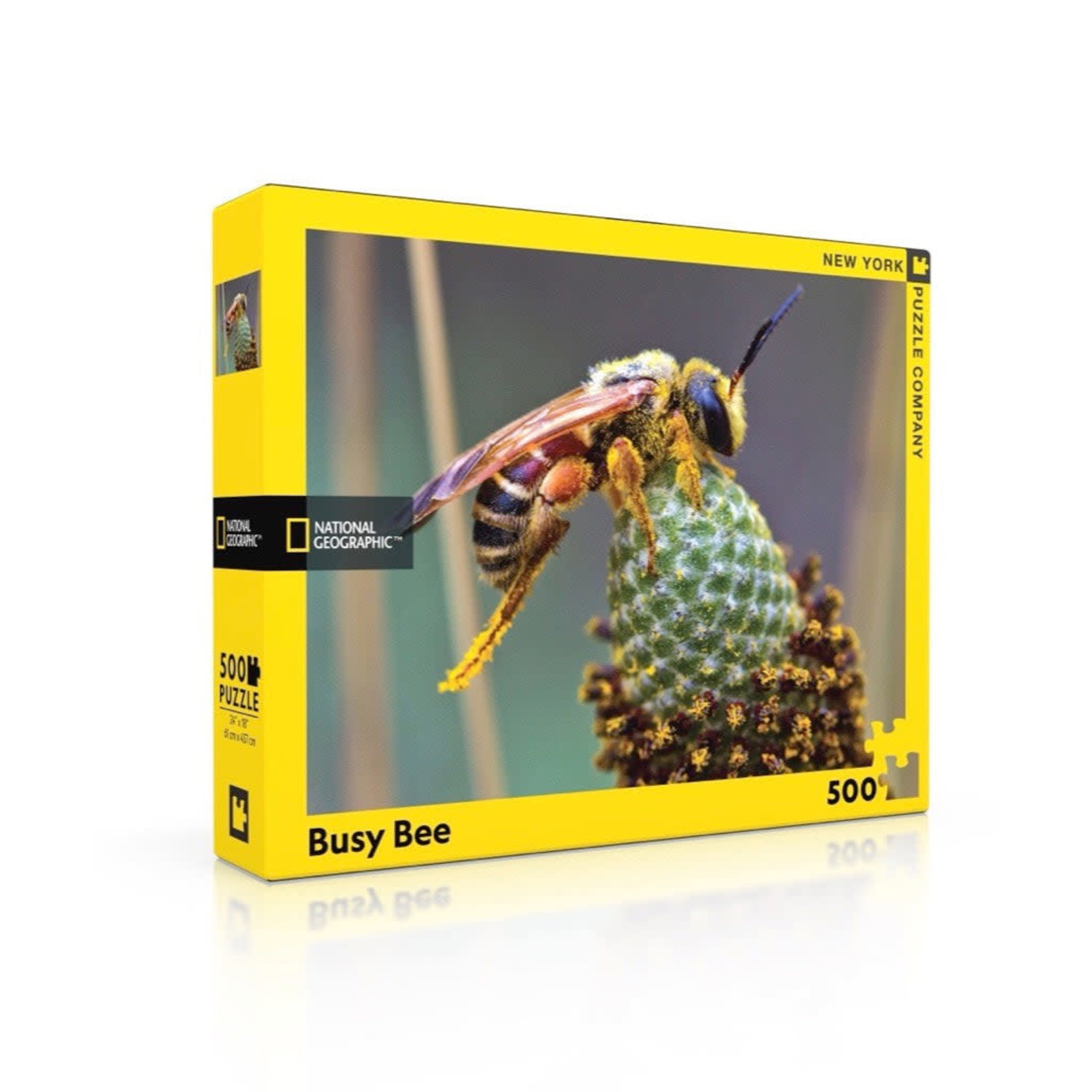 New York Puzzle Co National Geographic - Busy Bee 500 Piece Puzzle