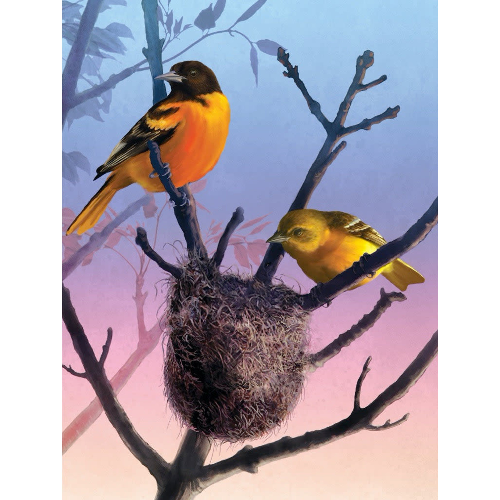 New York Puzzle Co Cornell Lab of Ornithology, The - Baltimore Orioles 1000 Piece Puzzle