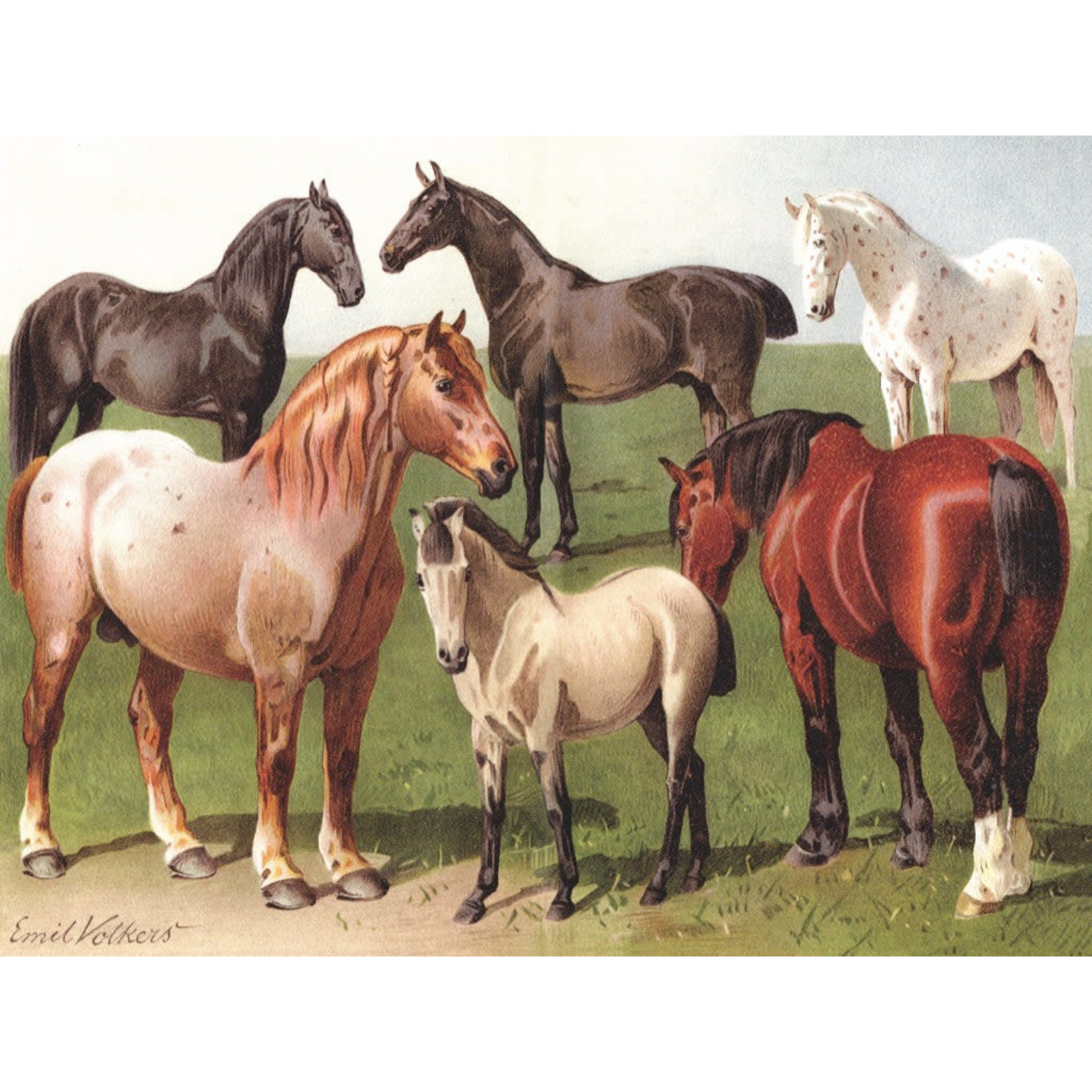 New York Puzzle Co Vintage Collection - Horse Breeds 1000 Piece Puzzle