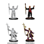 WizKids D&D Nolzur's Marvelous Miniatures: Human Wizard, Male