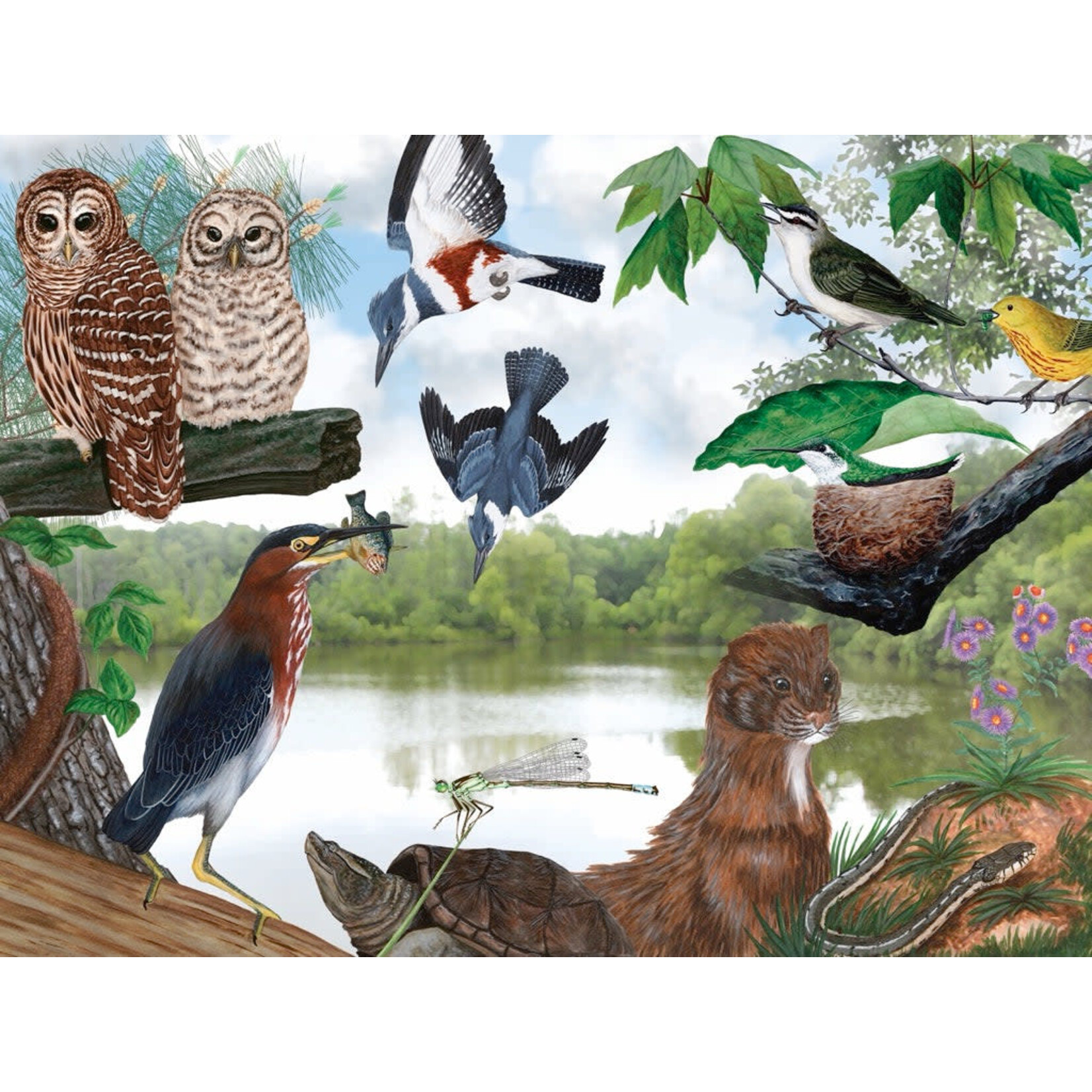 New York Puzzle Co Cornell Lab of Ornithology, The - Summer Trail 1000 Piece Puzzle
