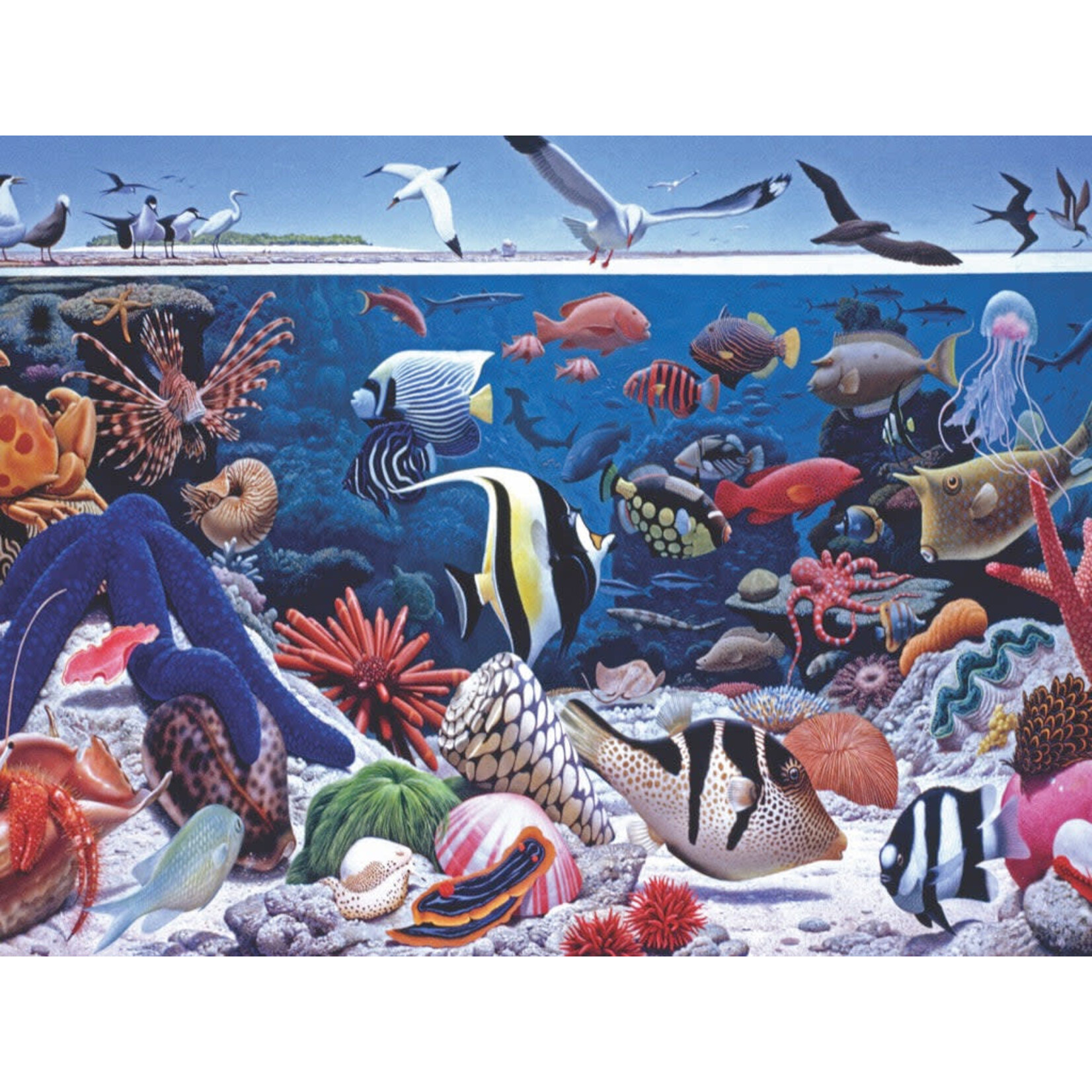 New York Puzzle Co National Geographic - Ocean Life 500 Piece Puzzle