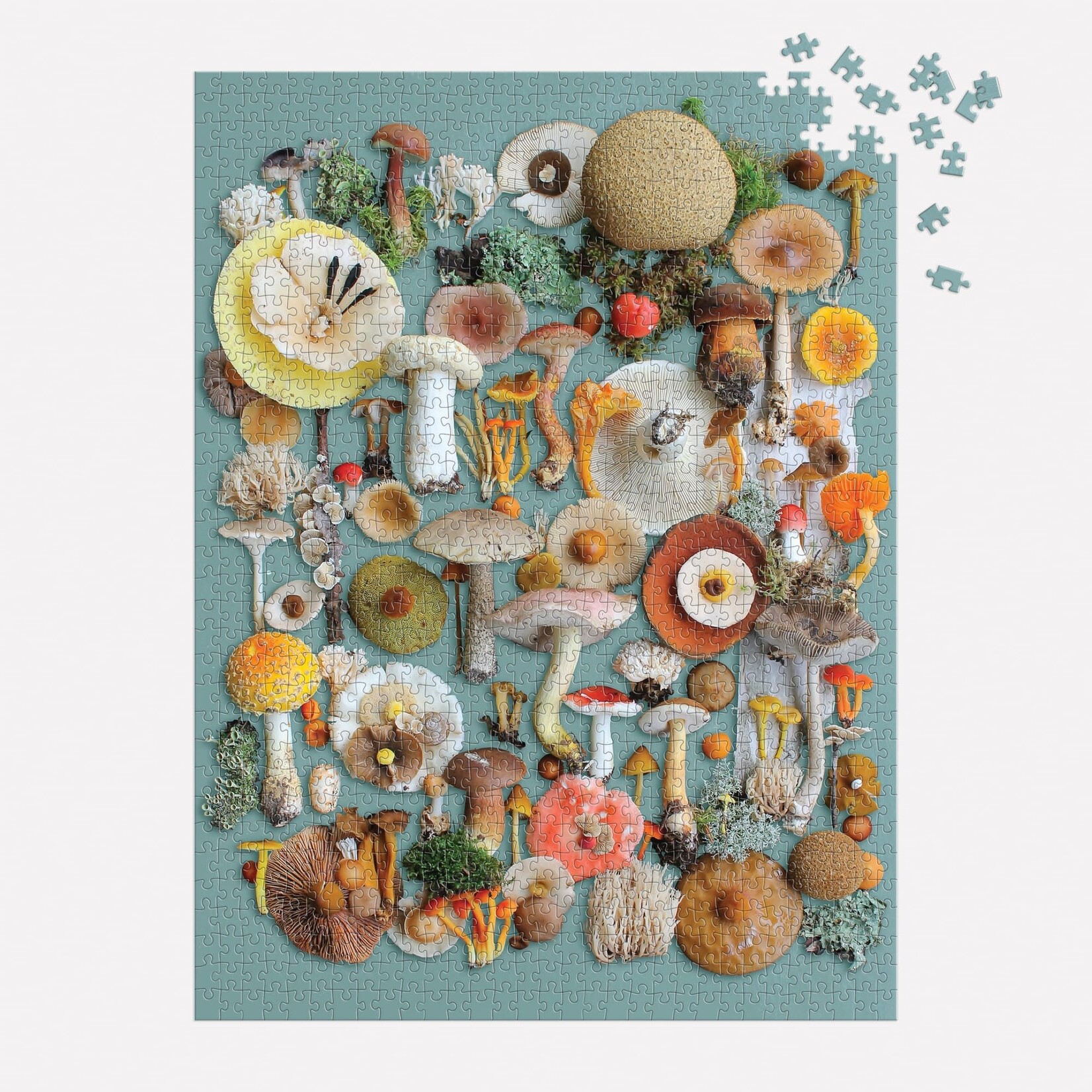 galison Foraged 1000 Piece Puzzle