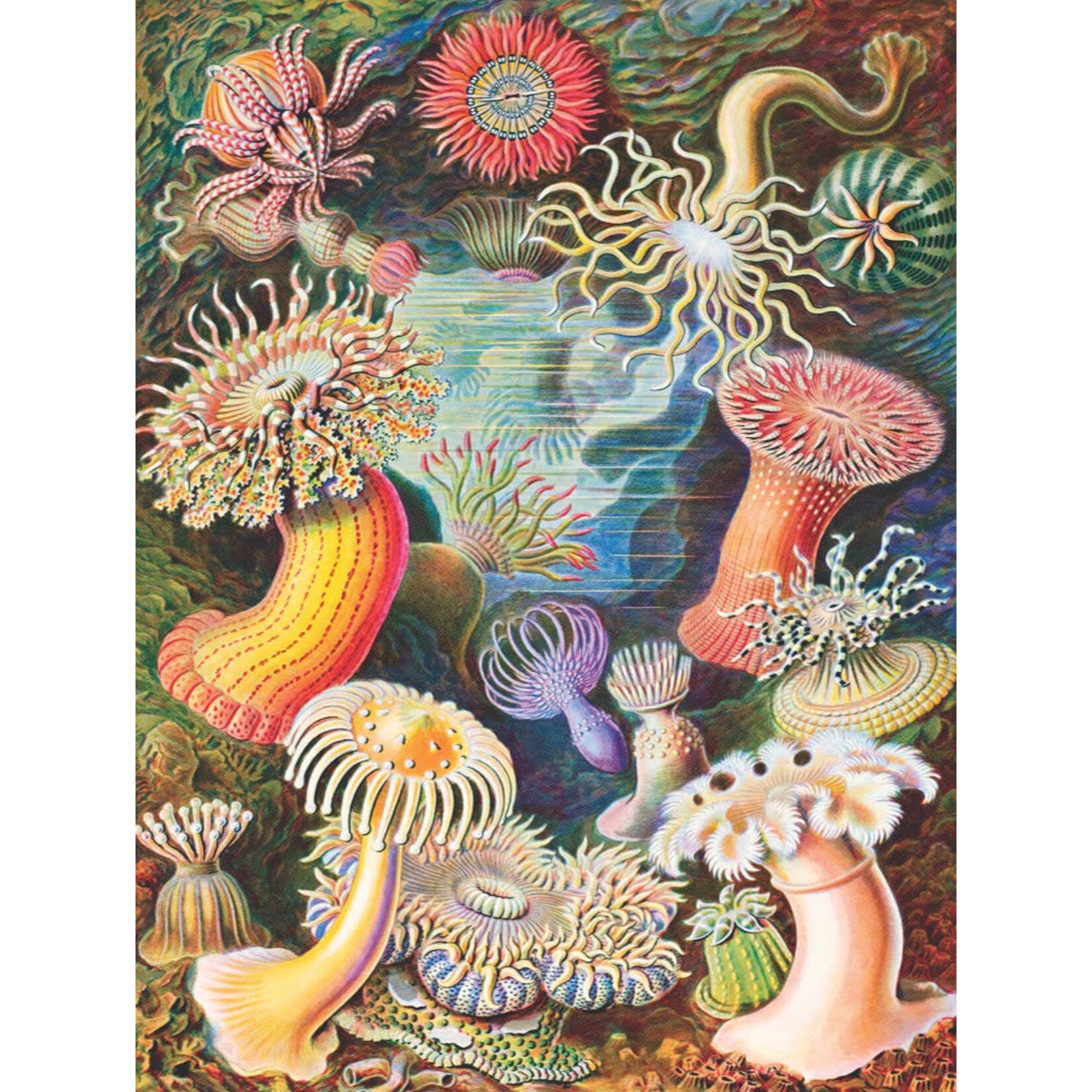 New York Puzzle Co Vintage Collection - Sea Anemones 1000 Piece Puzzle
