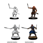 WizKids D&D Nolzur's Marvelous Miniatures: Bandits