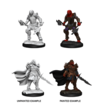 WizKids D&D Nolzur's Marvelous Miniatures: Dragonborn Fighter, Female
