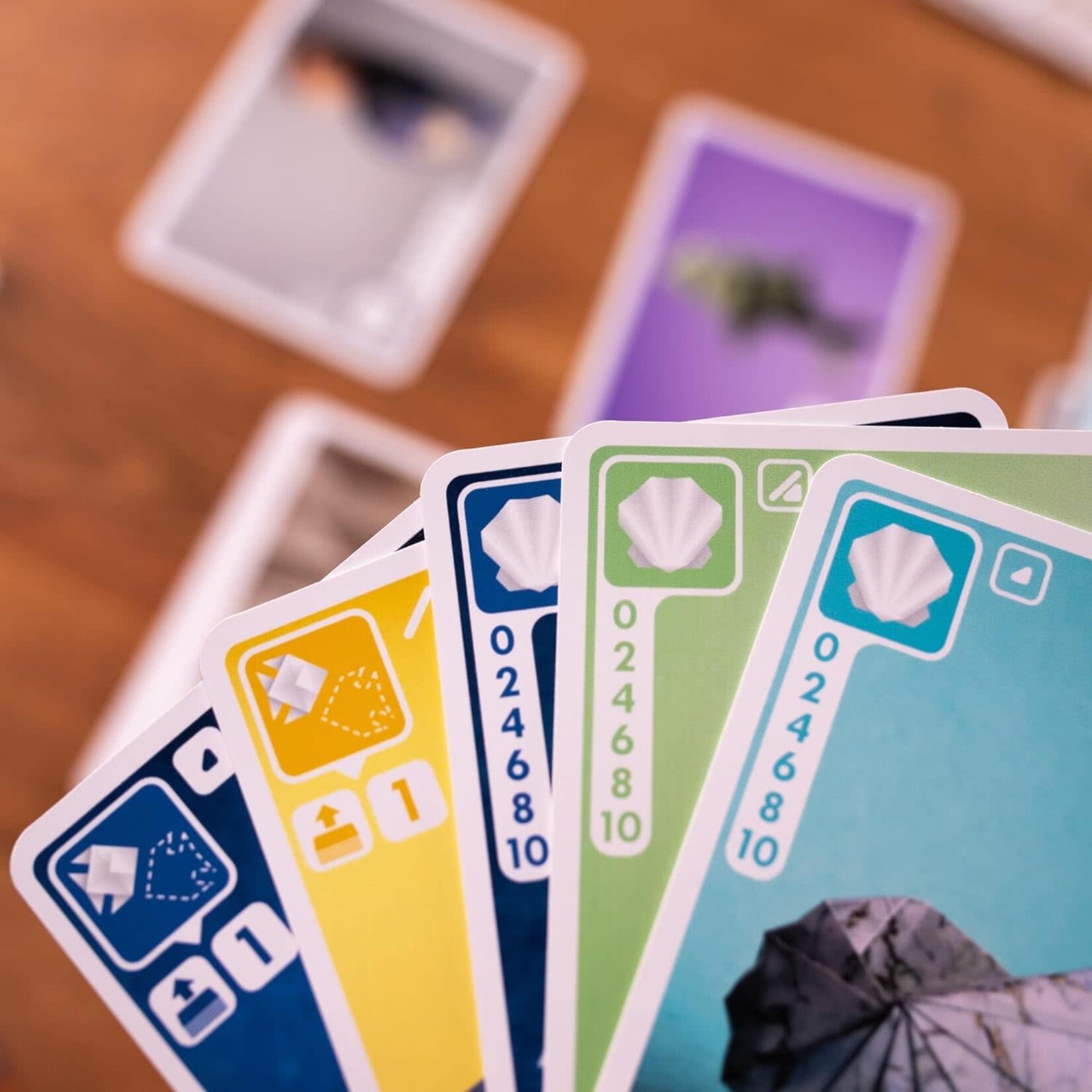Pandasaurus Games Sea Salt & Paper