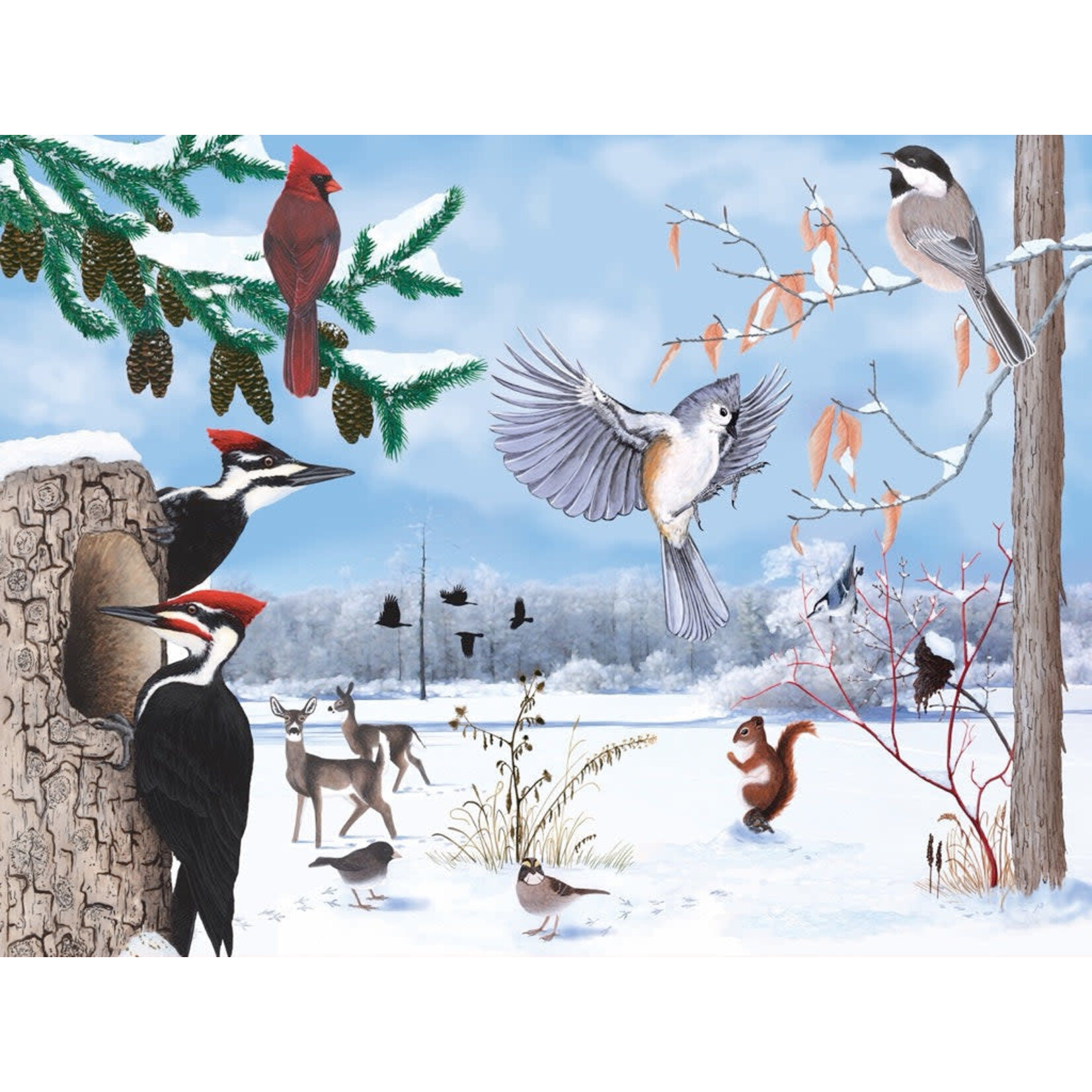 New York Puzzle Co Cornell Lab of Ornithology, The - Winter Trail 1000 Piece Puzzle