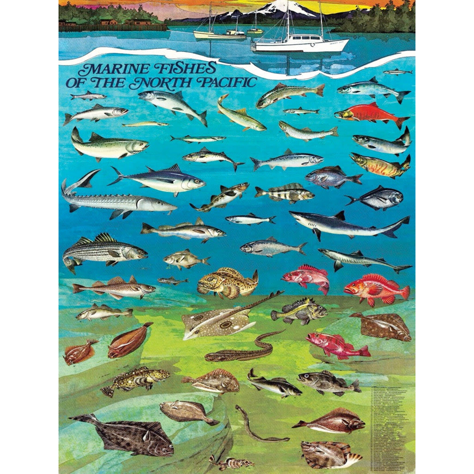 New York Puzzle Co Fishes of the North Pacific 1000 Piece Puzzle