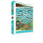 New York Puzzle Co Vintage Collection - Fishes of the California Current 1000 Piece Puzzle