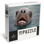 Lantern Press Oregon Coast Sea Lion 1000 Piece Puzzle