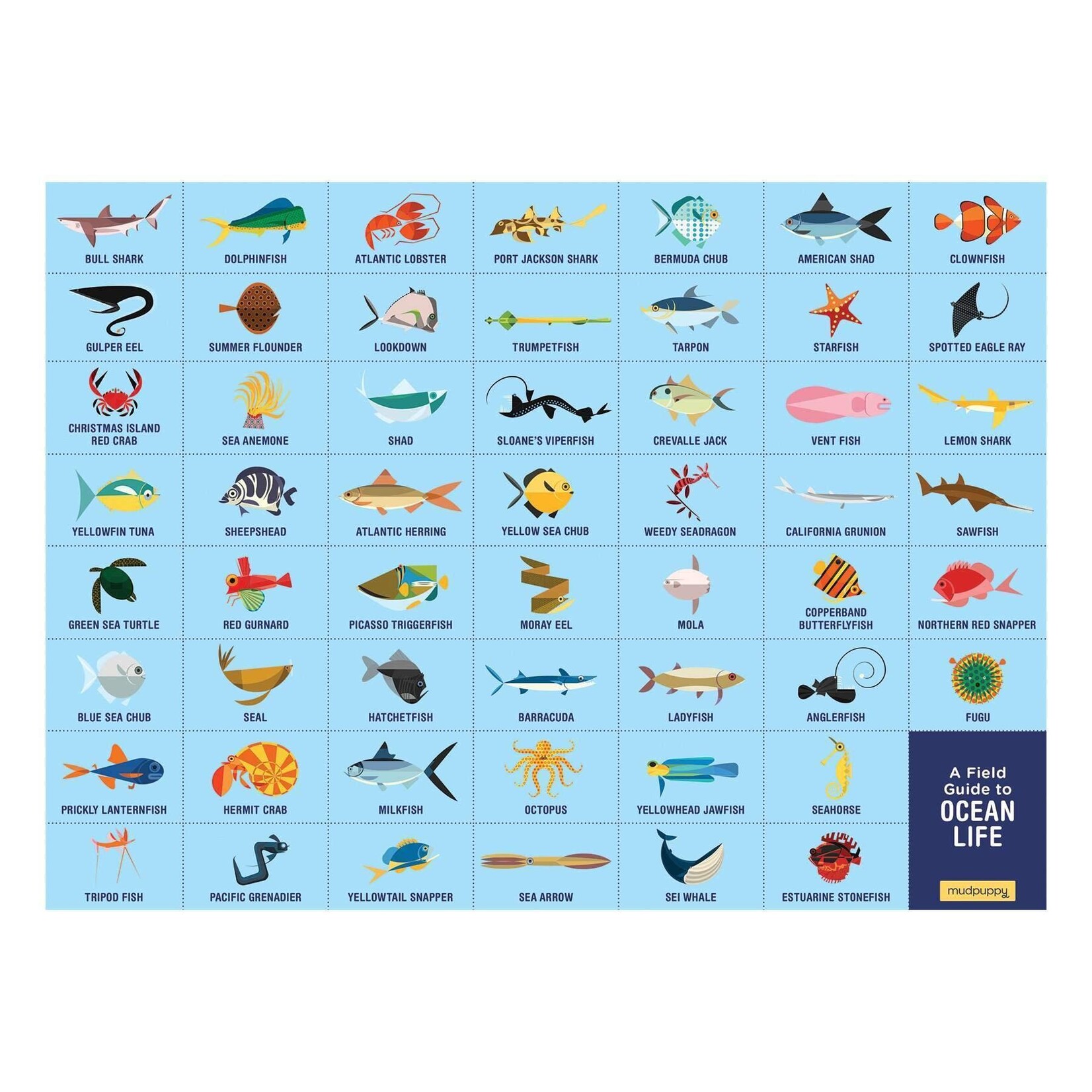 Mudpuppy Search & Find 64 Piece Puzzle - Ocean Life