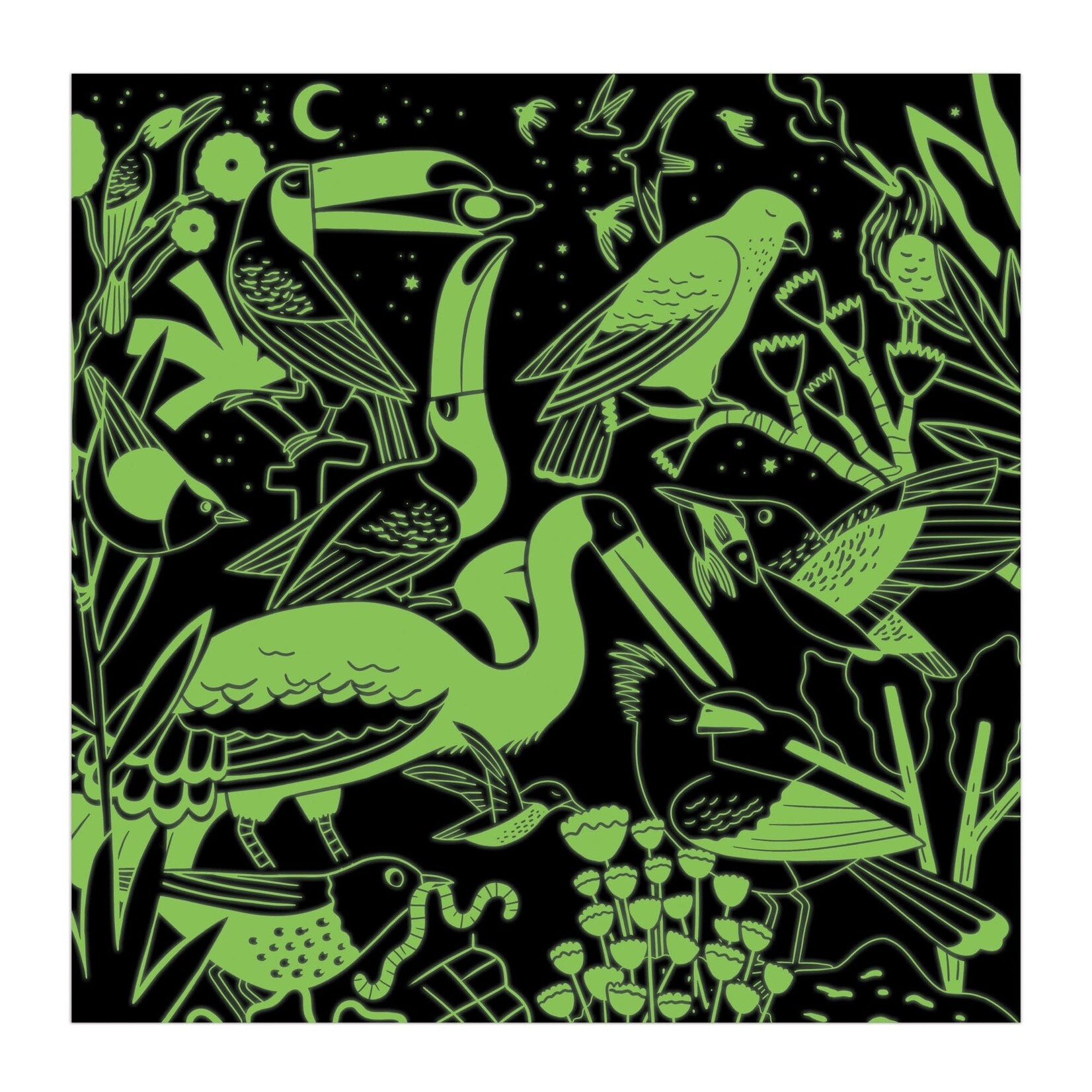 Mudpuppy Glow in the Dark Puzzle - Birds Illuminated 500 Piece