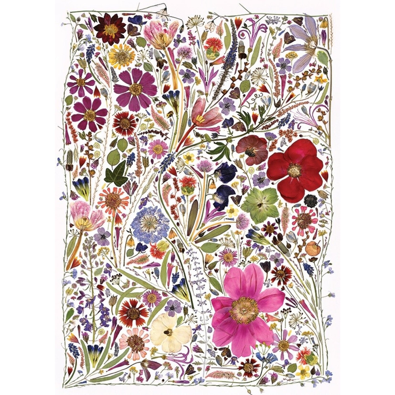 Cobble Hill Flower Press: Spring 1000Piece Puzzle