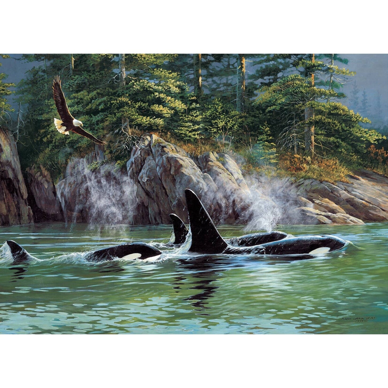 Cobble Hill Orcas 1000 Piece Puzzle