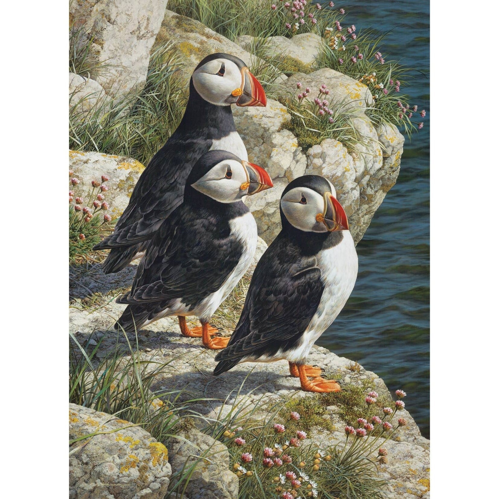 Cobble Hill Fisherman's Wharf 500 Piece Puzzle