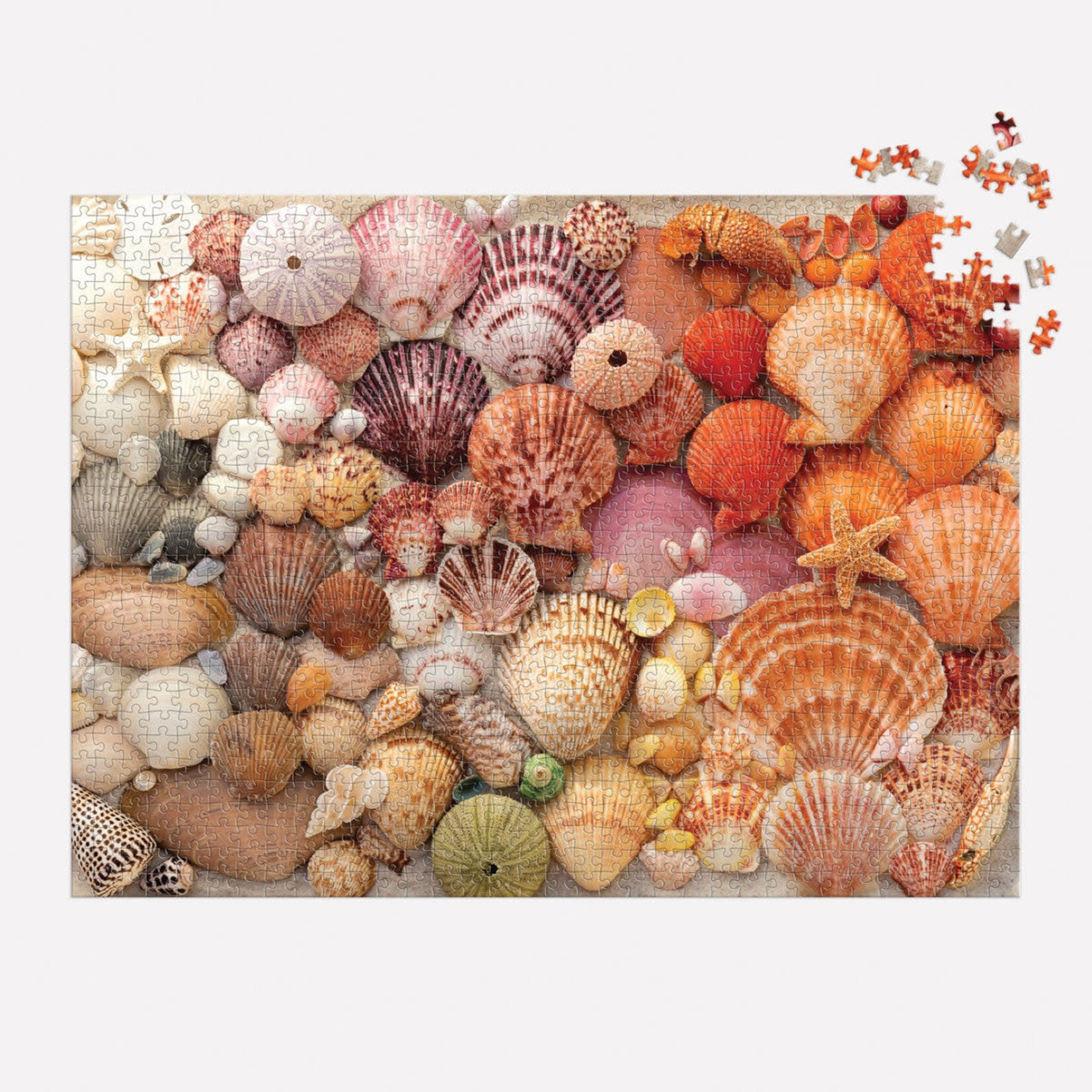 galison Vibrant Seashells 1000 Piece Puzzle