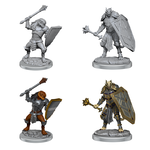 WizKids D&D Nolzur's Marvelous Miniatures: Dragonborn Clerics, Male