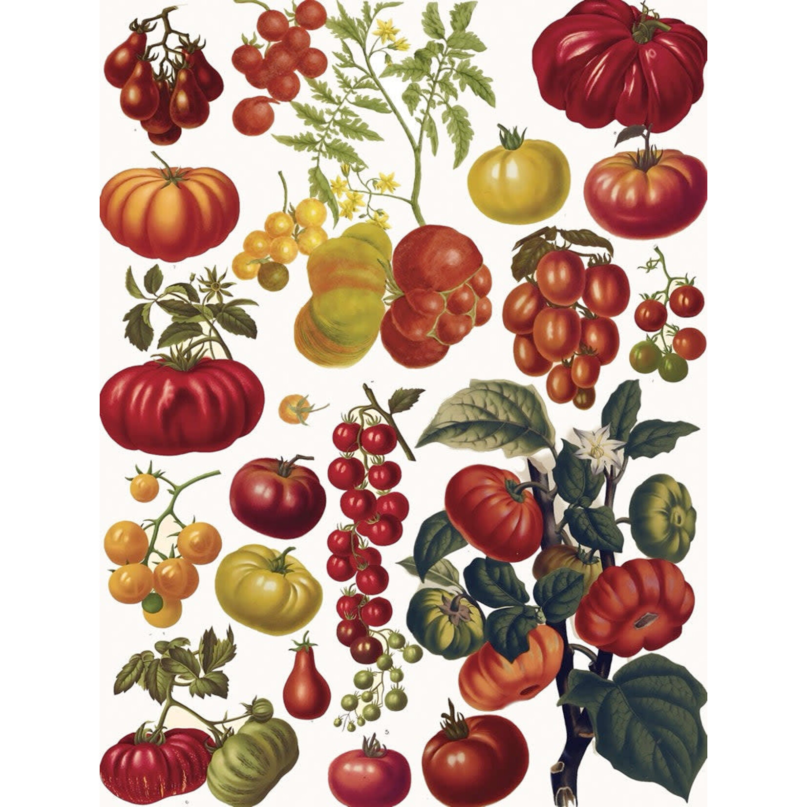 New York Puzzle Co Vintage Collection - Tomatoes 500 Piece Puzzle