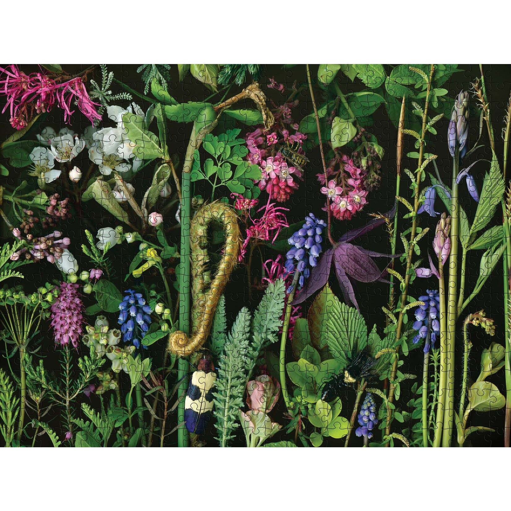 Pomegranate Deb Stoner: Chaos 500-Piece Puzzle