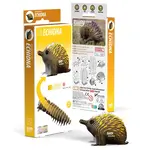 EUGY Echidna 3D Puzzle