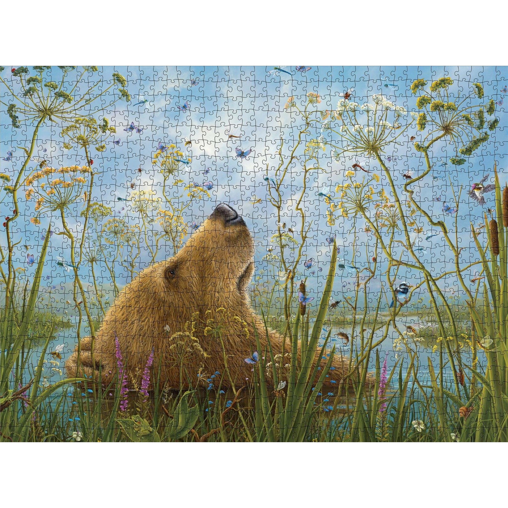 Pomegranate Robert Bissell: The Whole World 1000-Piece Jigsaw Puzzle