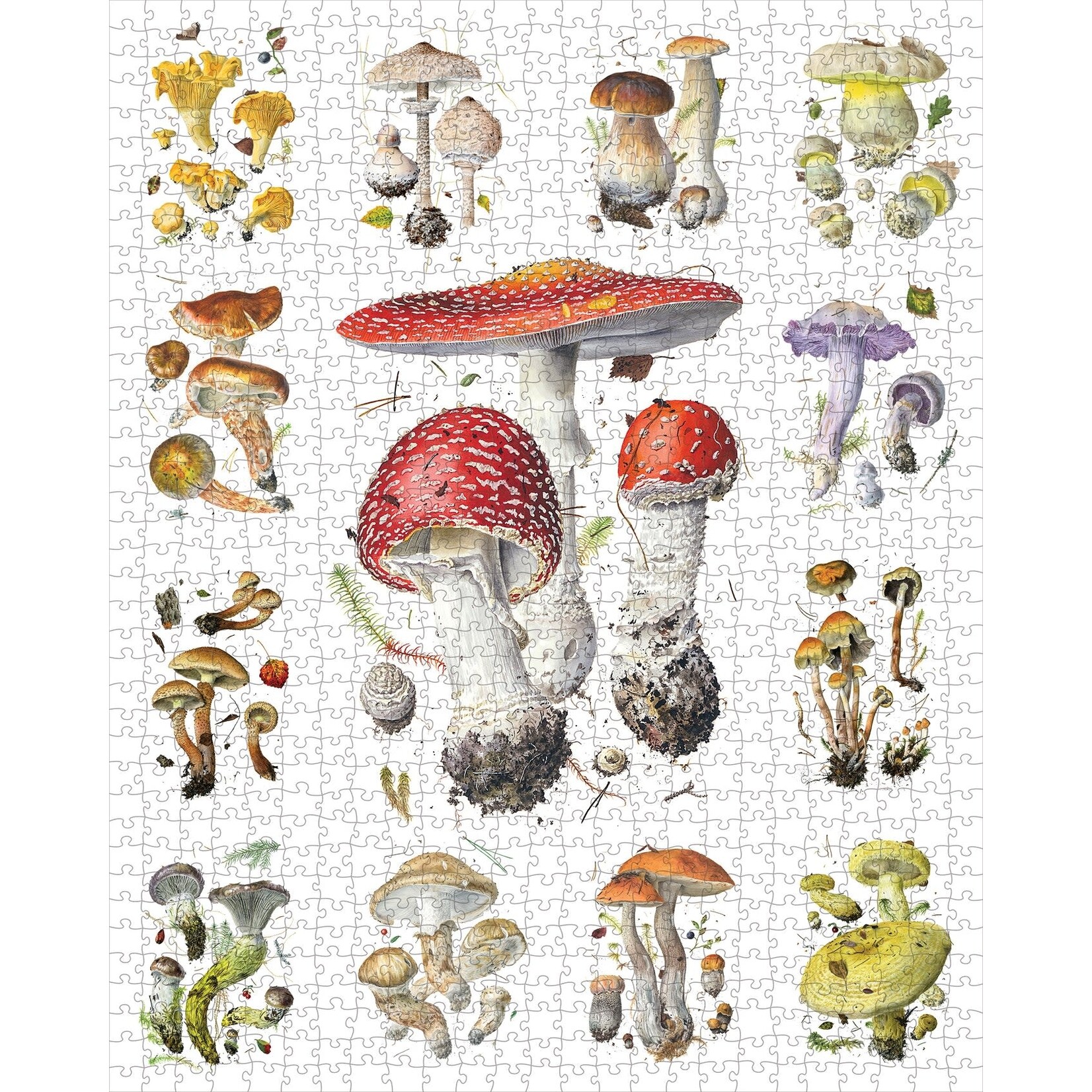 Pomegranate Alexander Viazmensky: Mushrooms 1000-Piece Jigsaw Puzzle