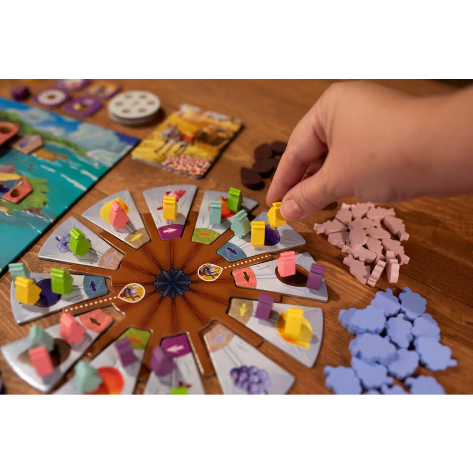 Pandasaurus Games Finca