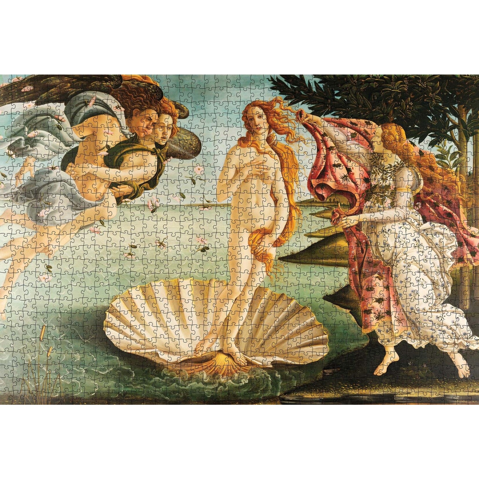 Pomegranate Sandro Botticelli: The Birth of Venus 1000-Piece Jigsaw Puzzle