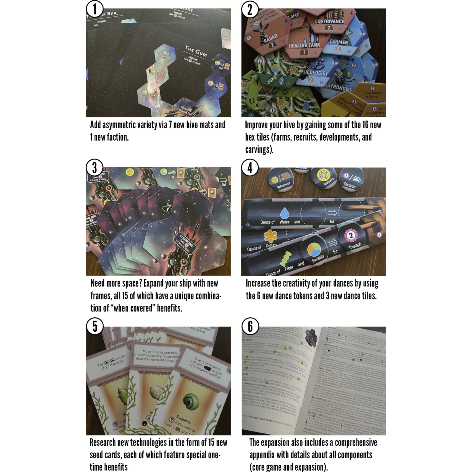 Stonemaier Games Apiary: Expanding the Hive