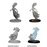 WizKids D&D Nolzur's Marvelous Miniatures: Ghost and Banshee