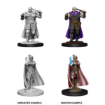 WizKids D&D Nolzur's Marvelous Miniatures: Human Ranger & Moon Elf Sorcerer
