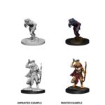 WizKids D&D Nolzur's Marvelous Miniatures: Wererat & Weretiger