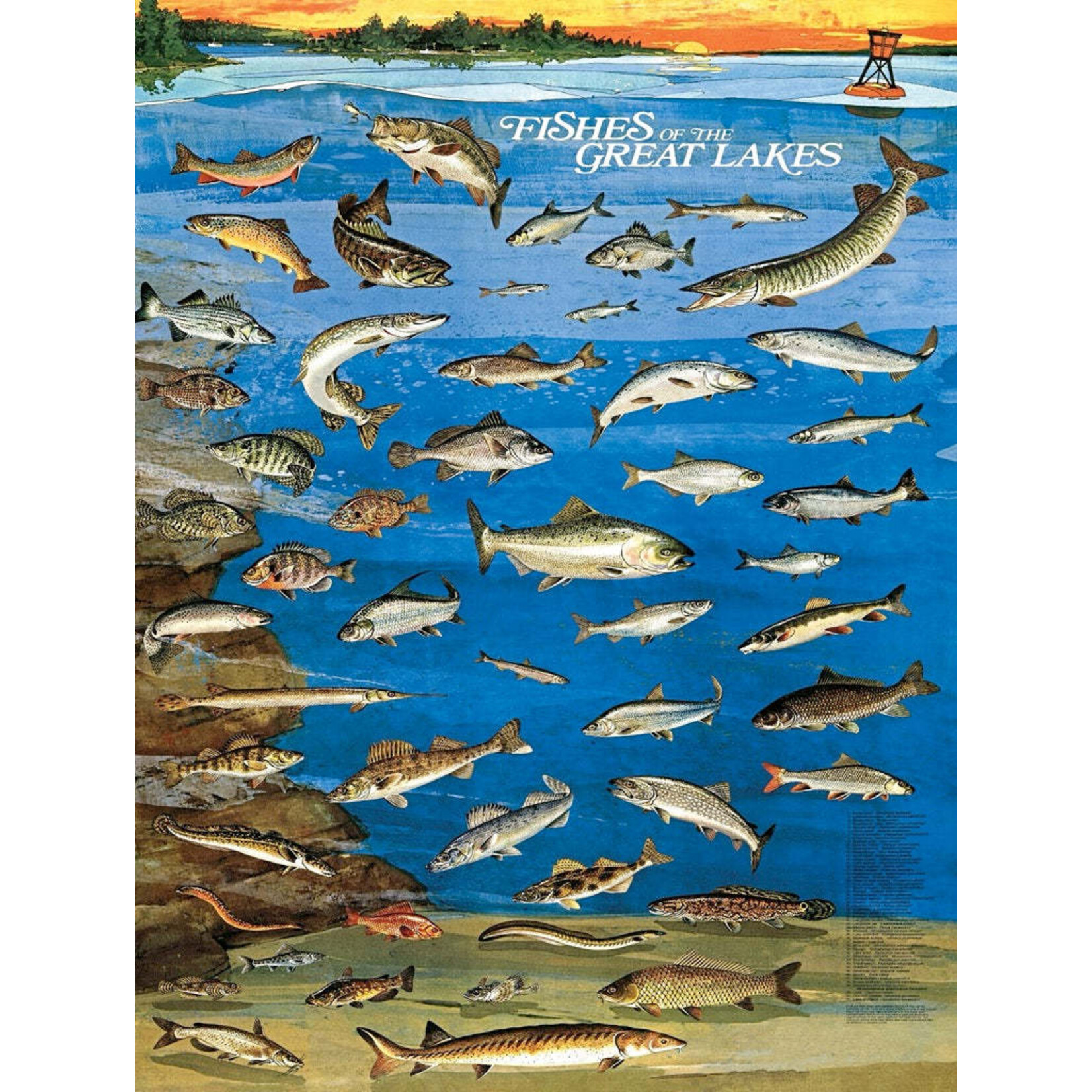 New York Puzzle Co Vintage Collection - Fishes Of The Great Lakes 1000 Piece Jigsaw Puzzle