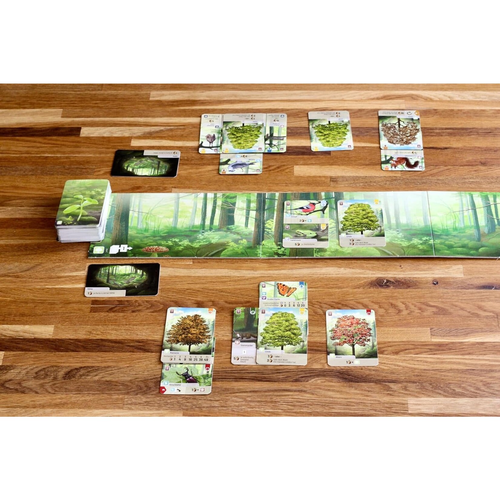 Lookout Games Forest Shuffle