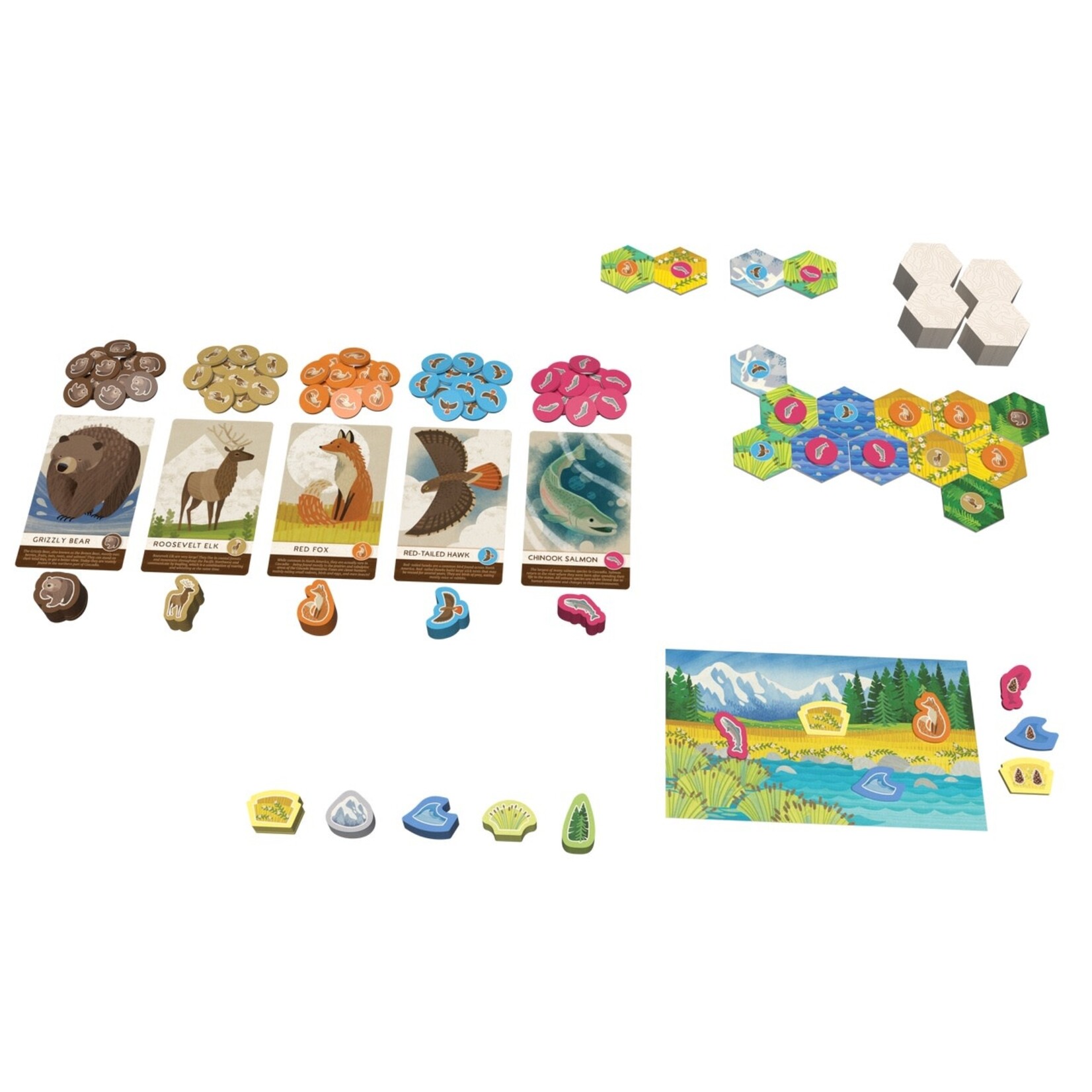 Alderac Entertainment Group Cascadia Junior