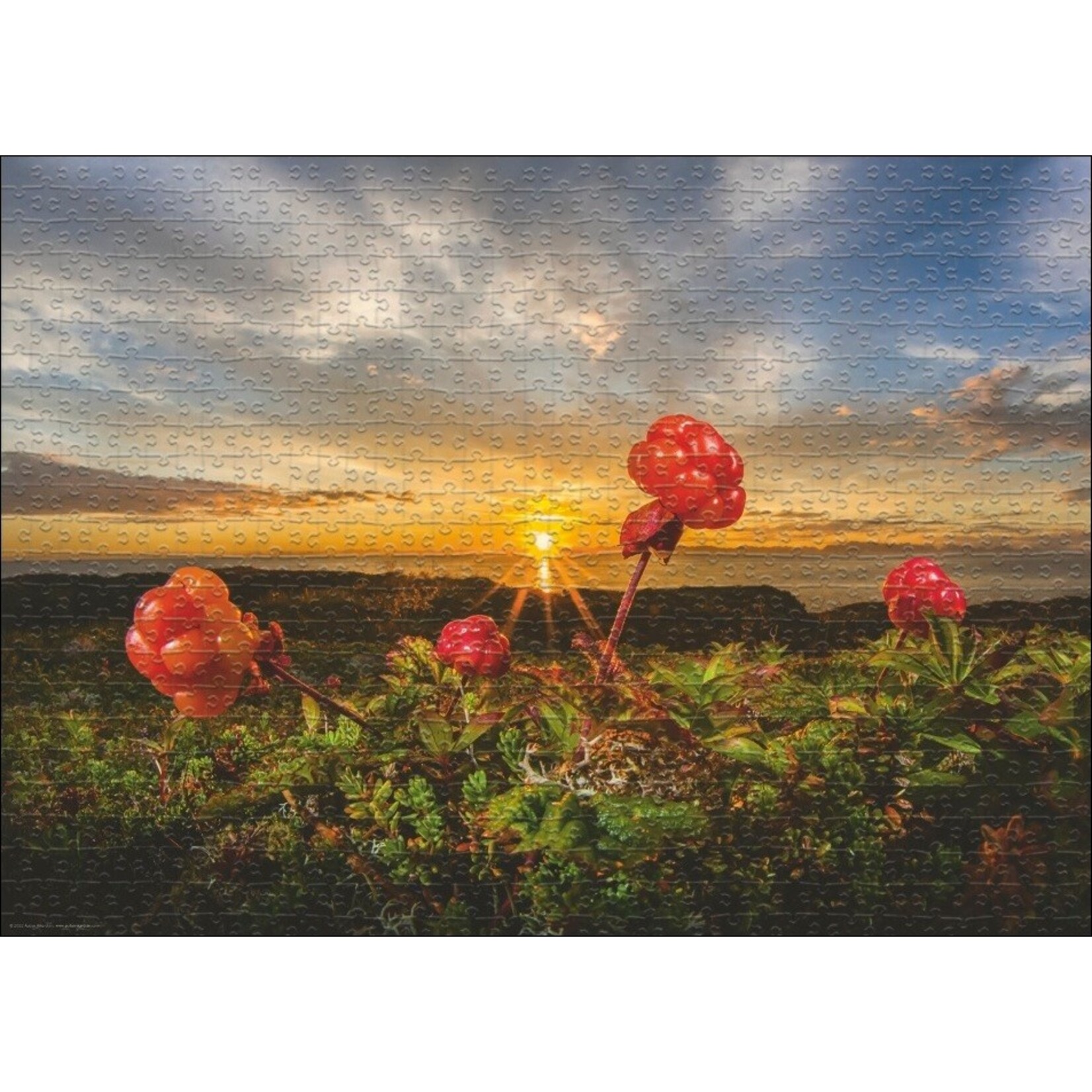 Heye Edition AVH - Cloudberries 1000 Piece Puzzle