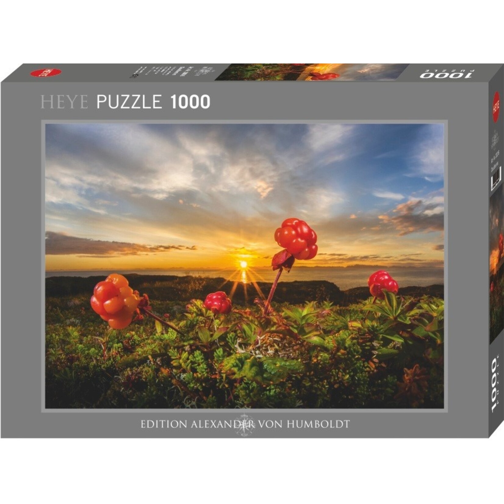 Heye Edition AVH - Cloudberries 1000 Piece Puzzle