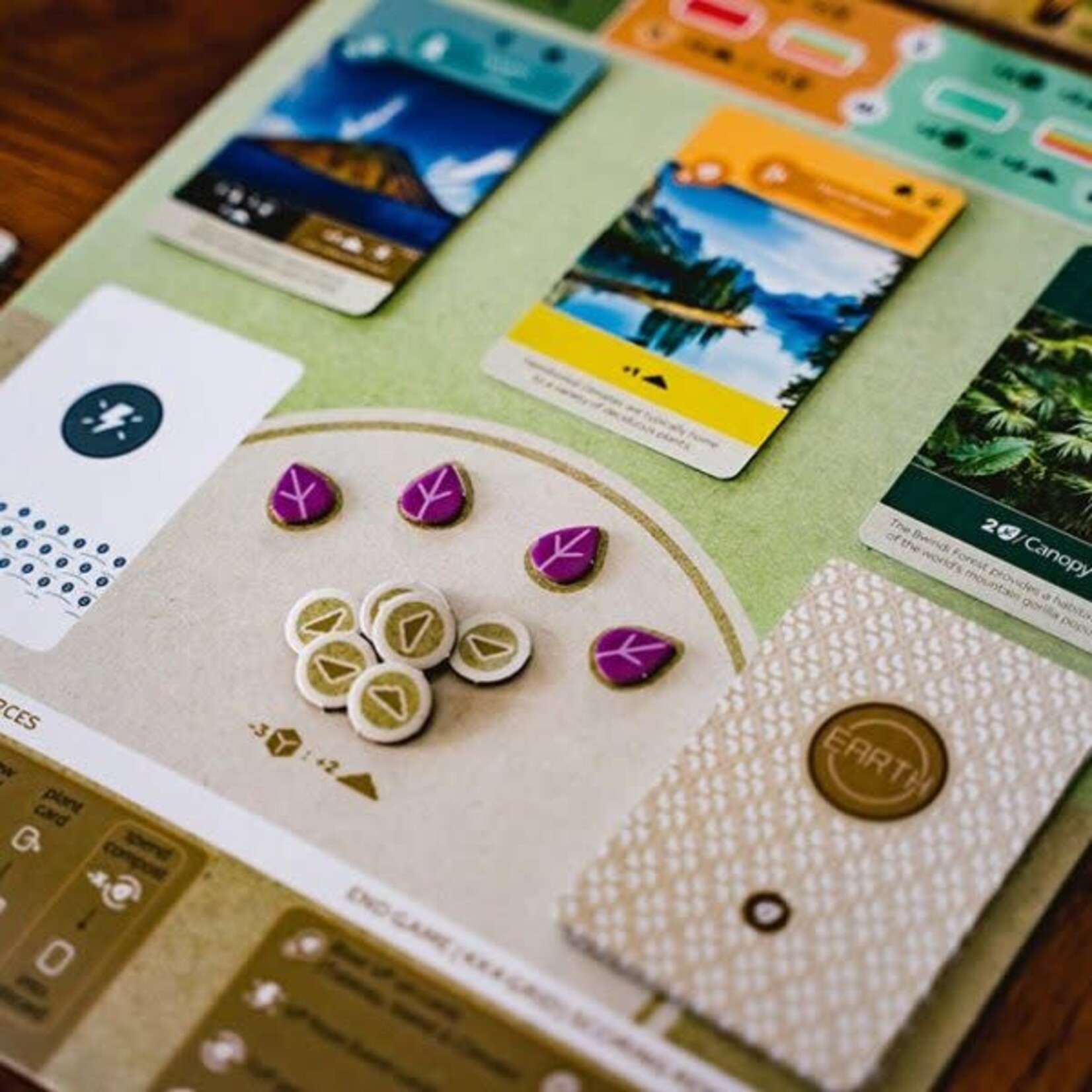 Inside Up Games Earth